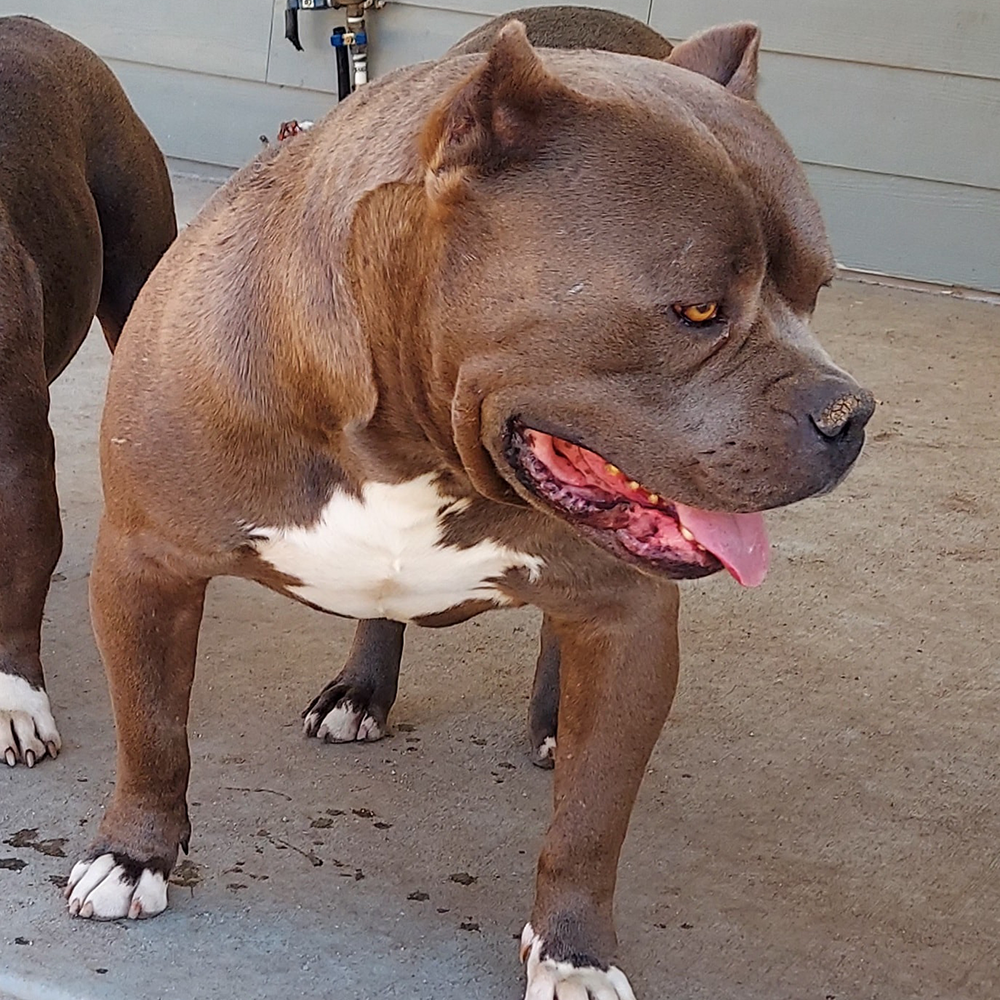 Read more about the article (RIP) Titan