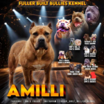 Amilli (Retired)