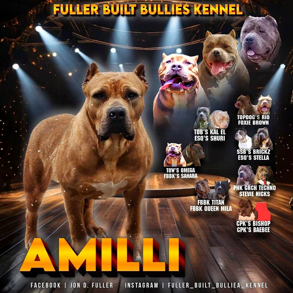 You are currently viewing Amilli (Retired)