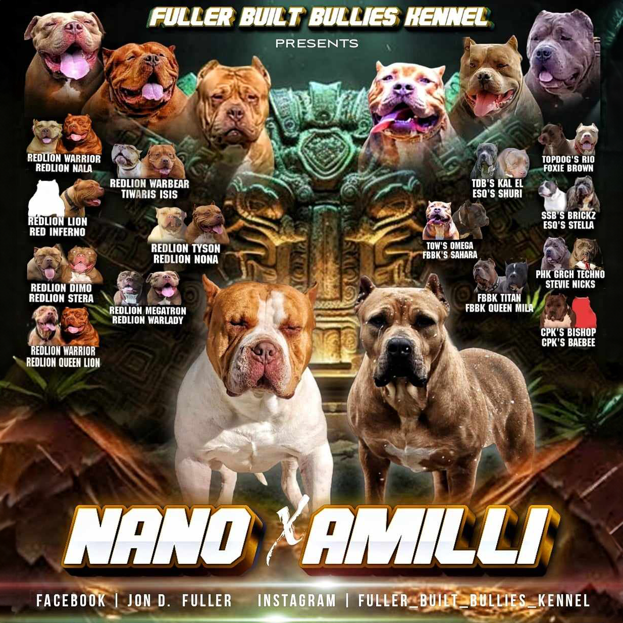 Read more about the article VietShark’s Nano X FBBK’s Amilli