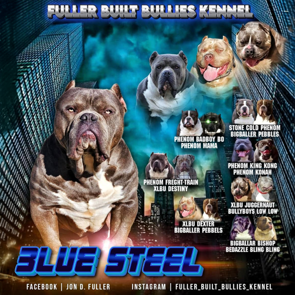 Read more about the article Blue Steel
